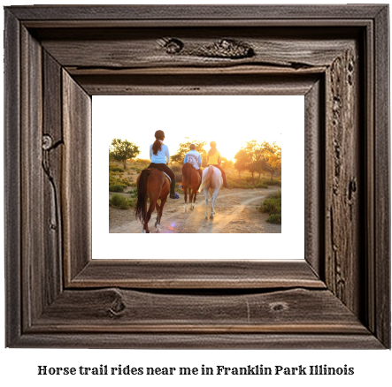 horse trail rides near me in Franklin Park, Illinois